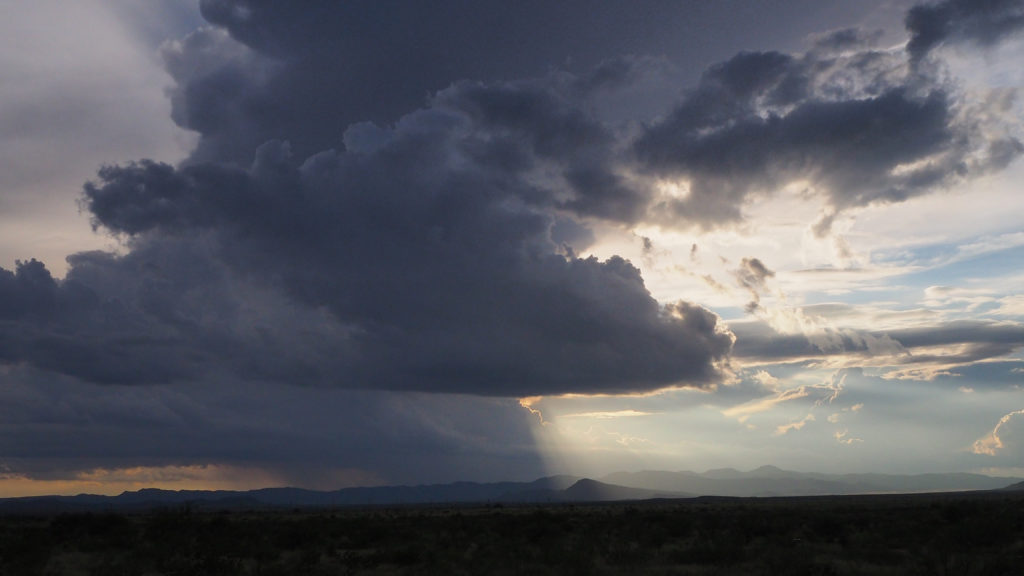 that birds’ bones make no awful noise against the light but