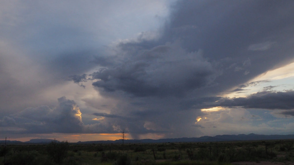 lie low in the light as in a high testimony; when you consider / the radiance, —A. R. Ammons