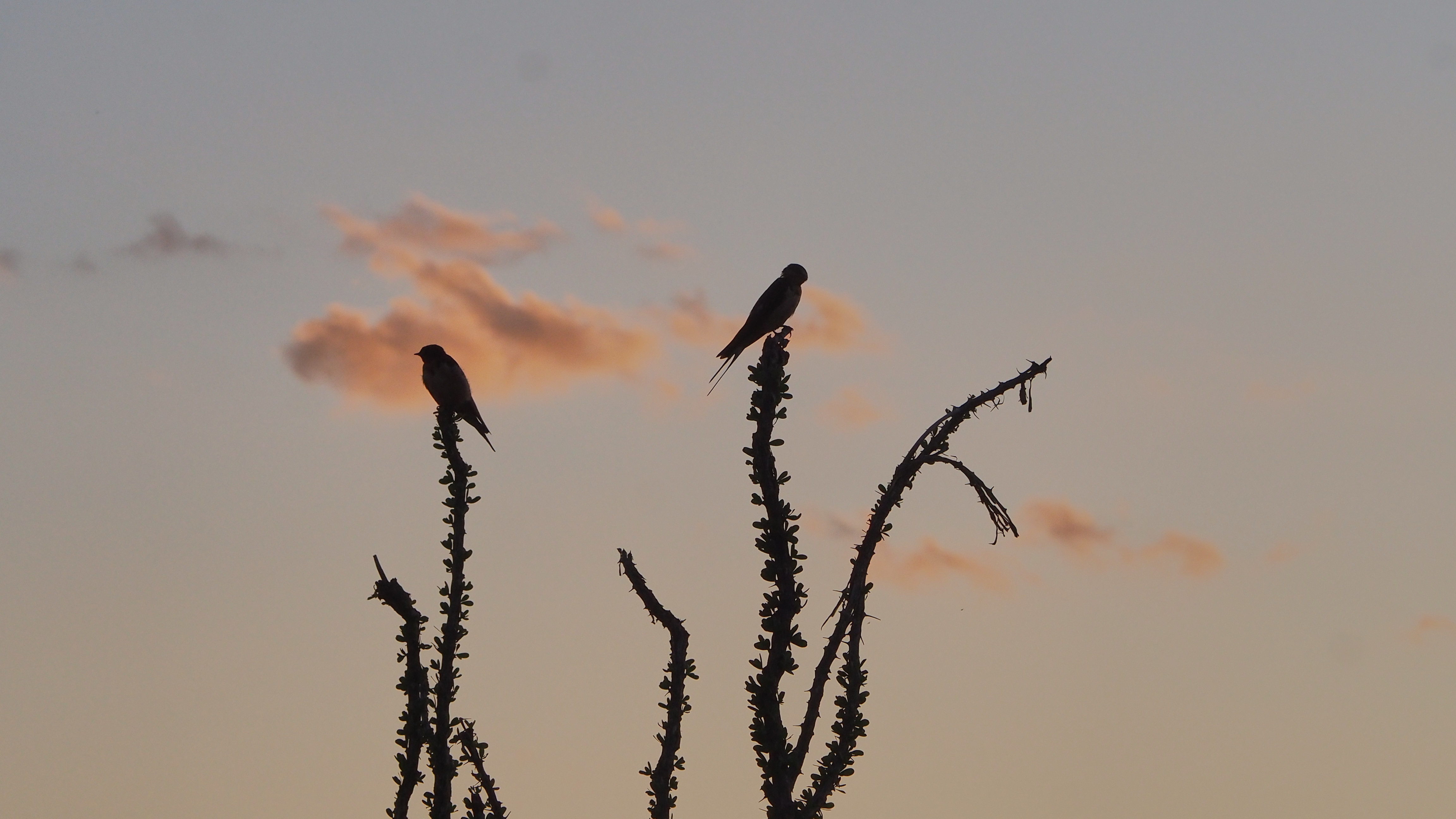 When you are already here