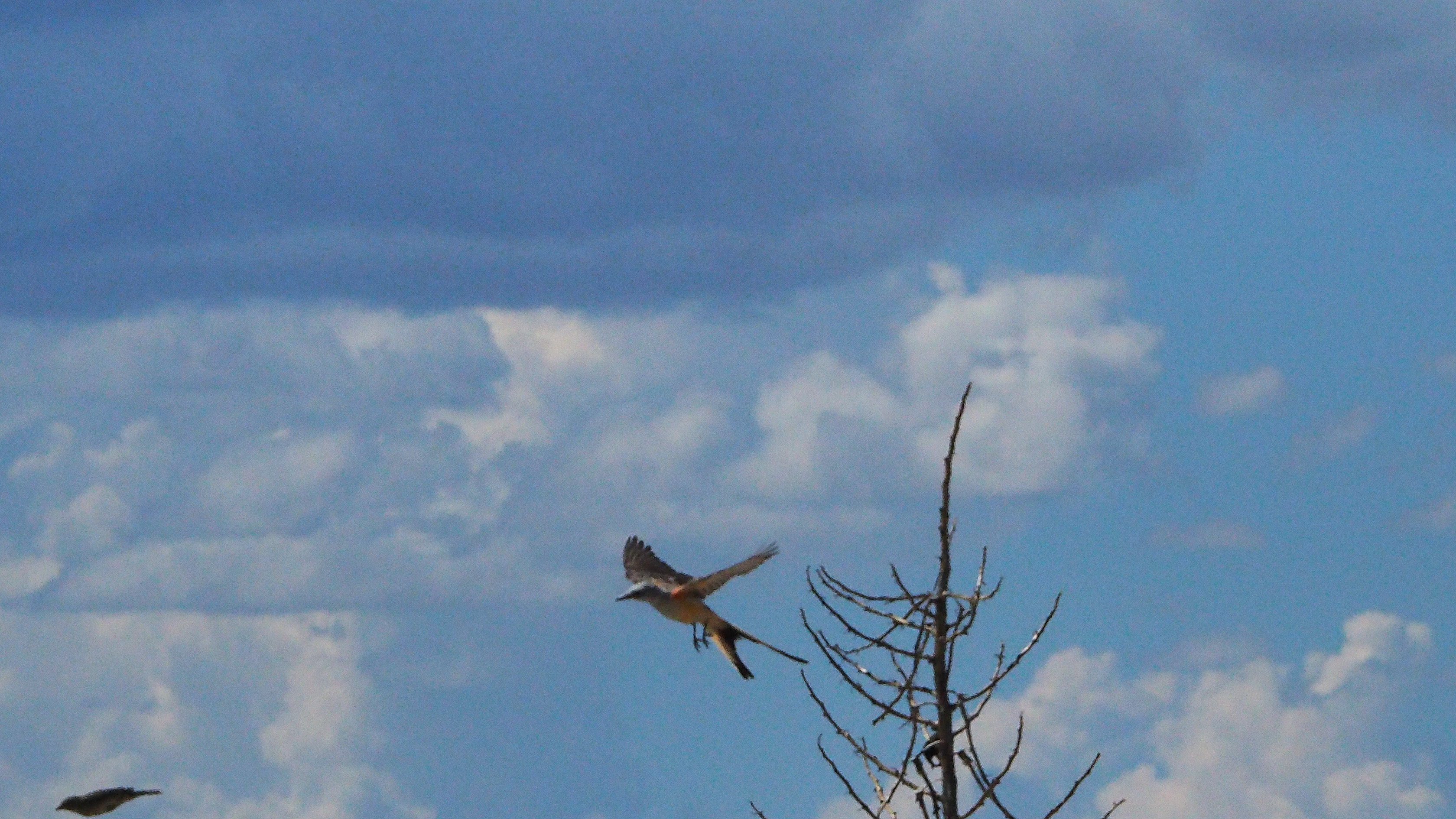 still wrecking your hands