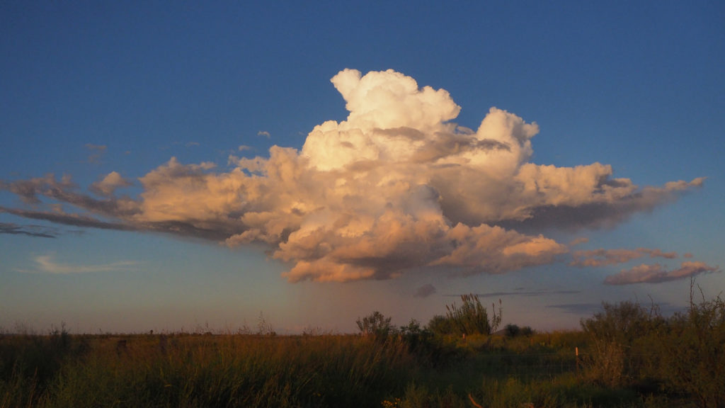 Or you can give it up, and sit