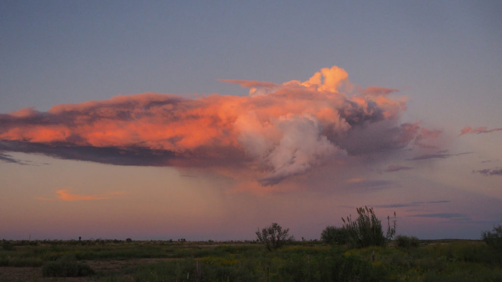 Still in the center of the room