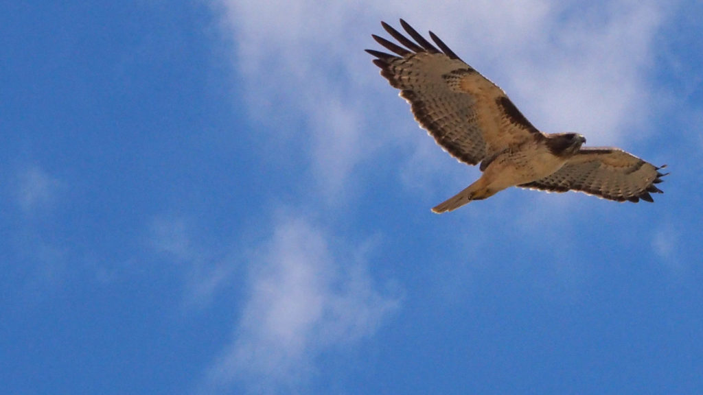 that could have catastrophic results, if I don’t