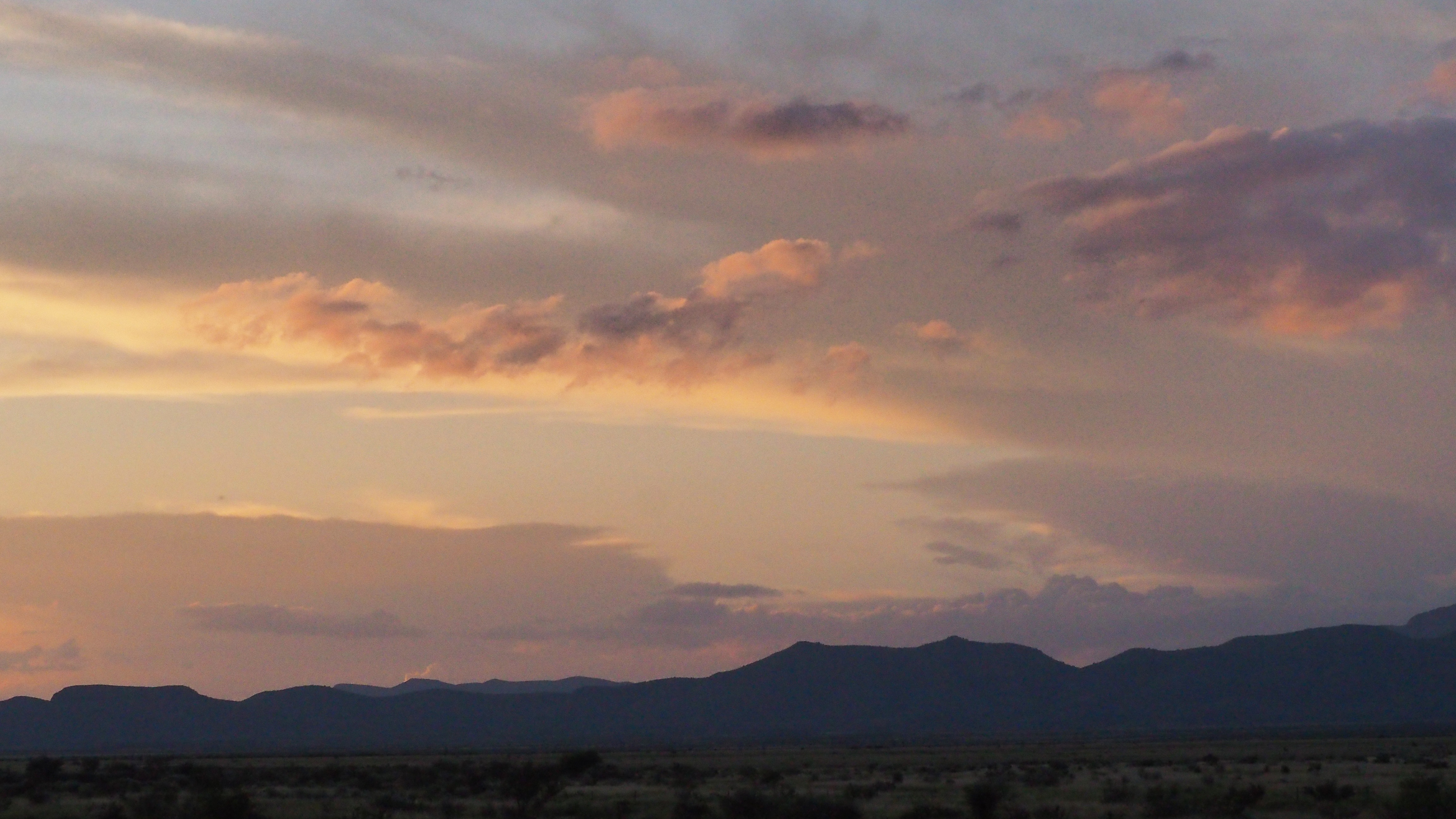 I choose to love our auspices