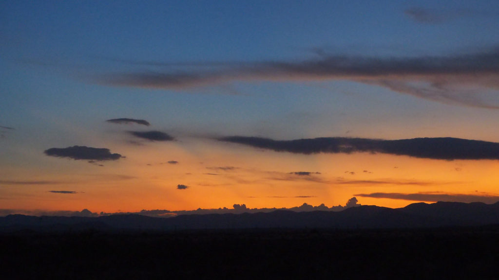 to love or not love. Or value. I choose