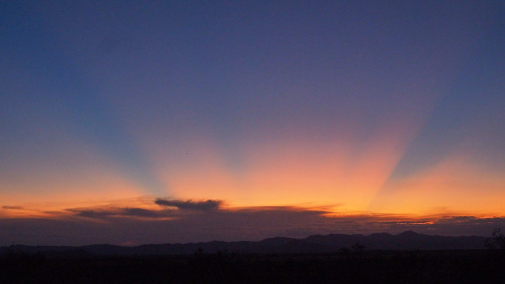 and everything works. —Elizabeth Bishop