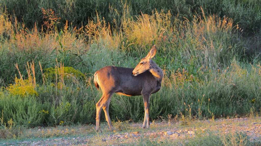 That you can’t see, can’t hear,