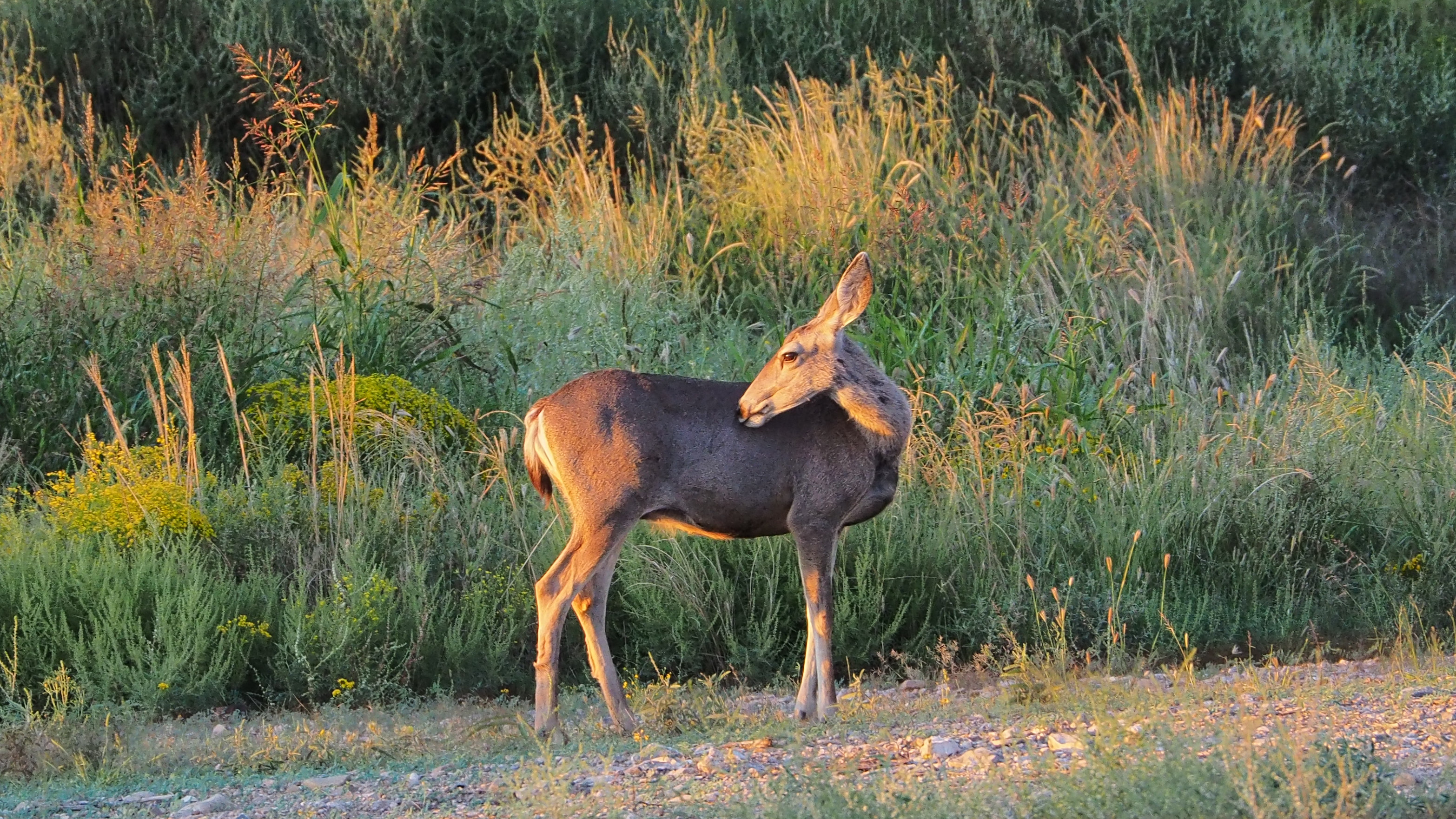 And know there is more