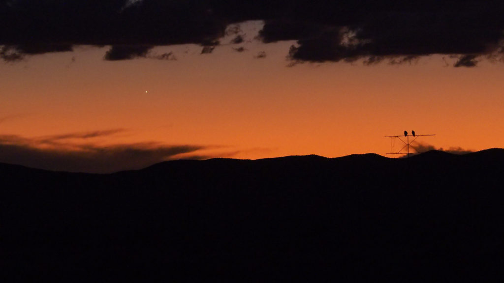 Circles of motion. —Joy Harjo