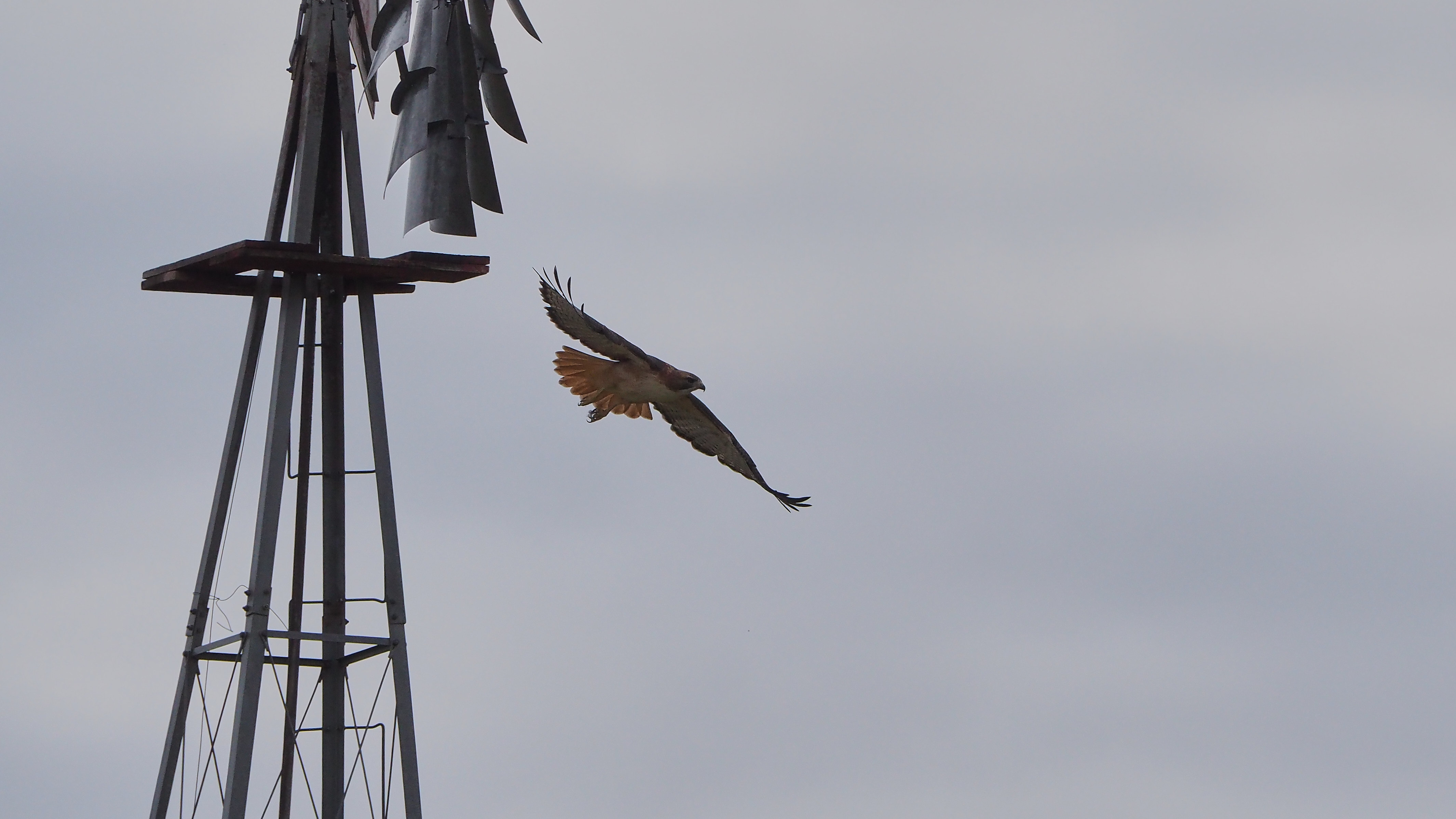 You only live once and if that’s true for you then you win.