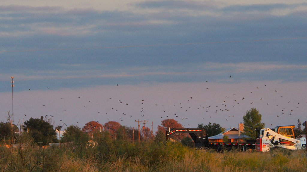 Living once is excellent and living less is better.