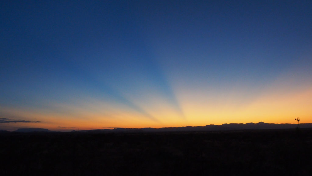 I like ordinary days. I like never having plans —Jana Prikryl