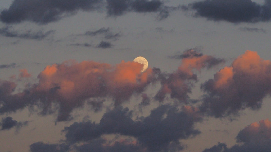 slip the sphere from her bosom,