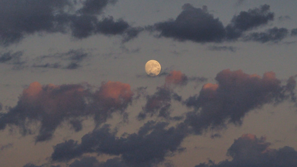 suspend it with care, and