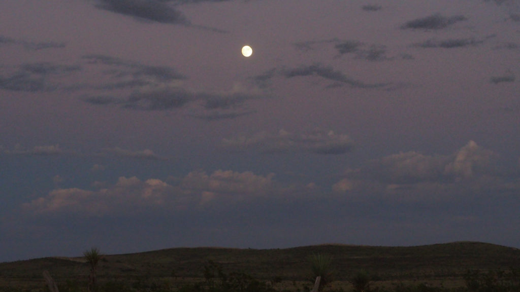 jewel my sky once more. —Lucy Griffith