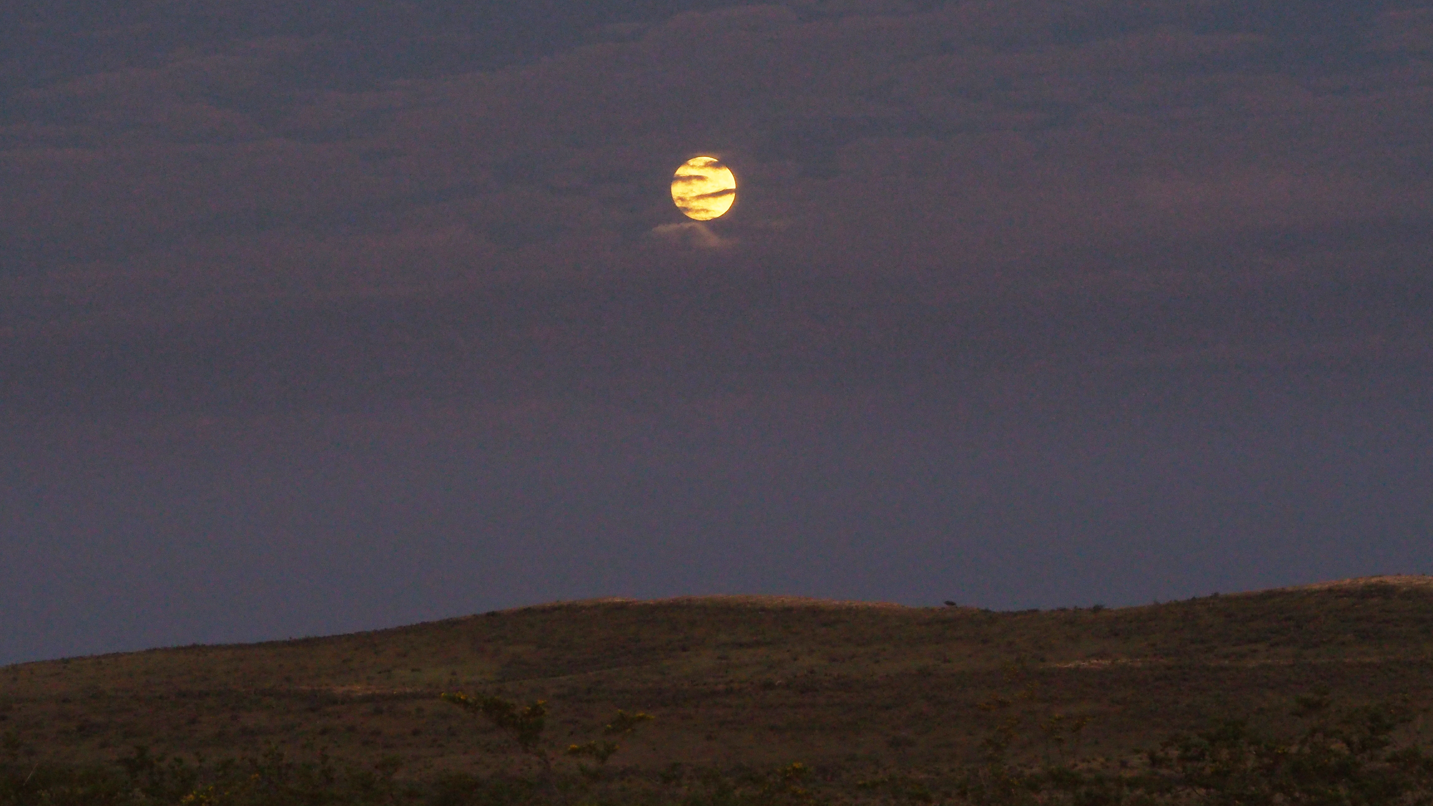 I ecstatically speak with words, and also with purest