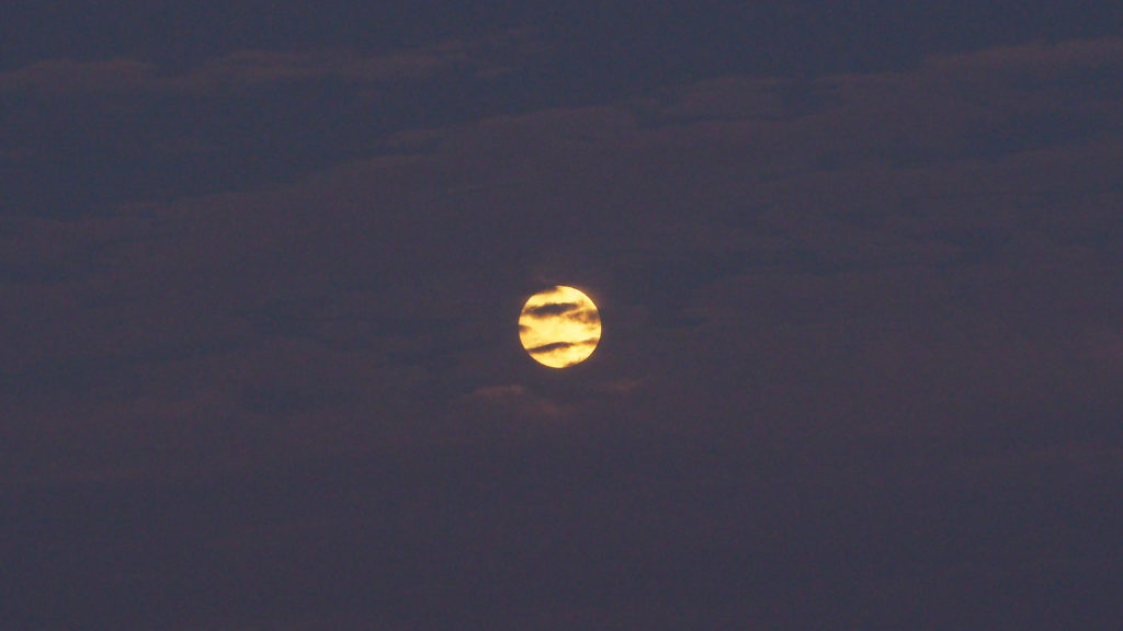 all nearby cousins, comets and galaxies, every