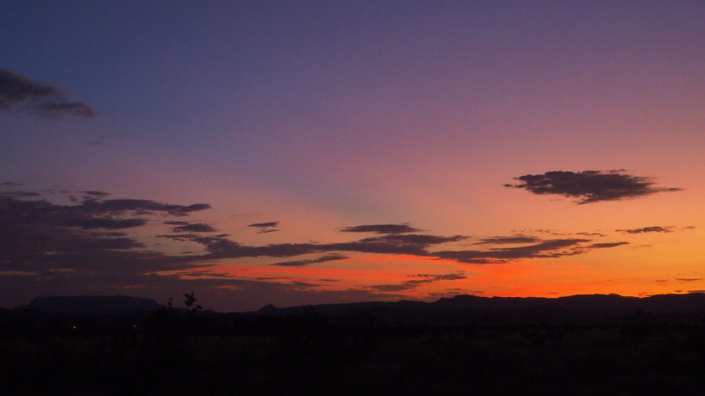 amoeba, creature and plant— —Hafiz, translated by Daniel Ladinsky