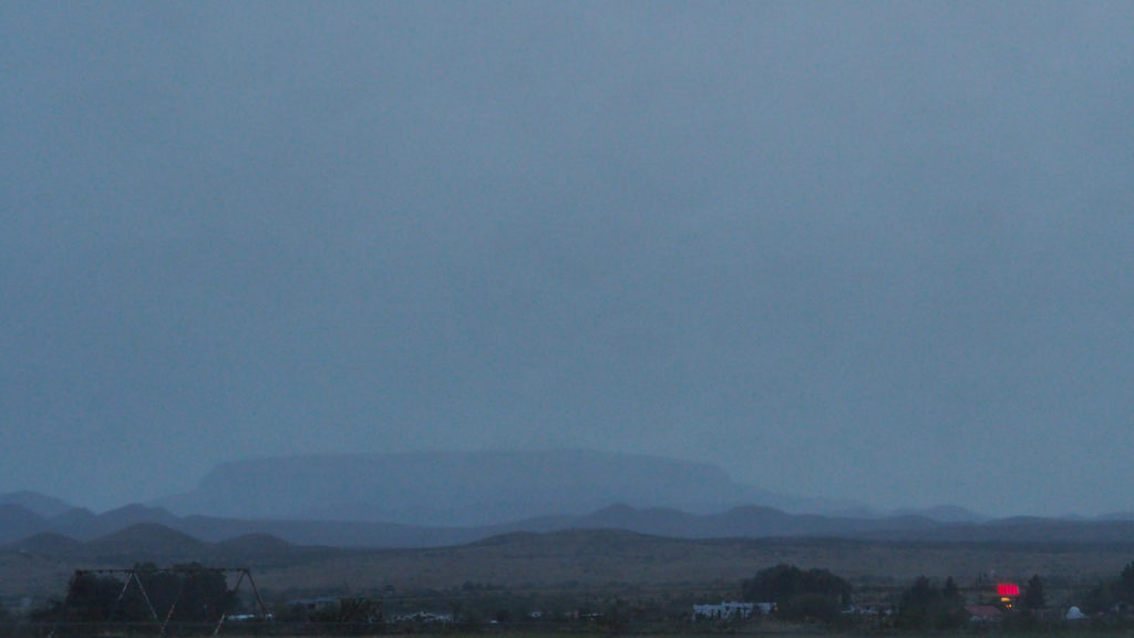 opening beautifully inside my brain. —Yehuda Amichai, translated by Chana Bloch