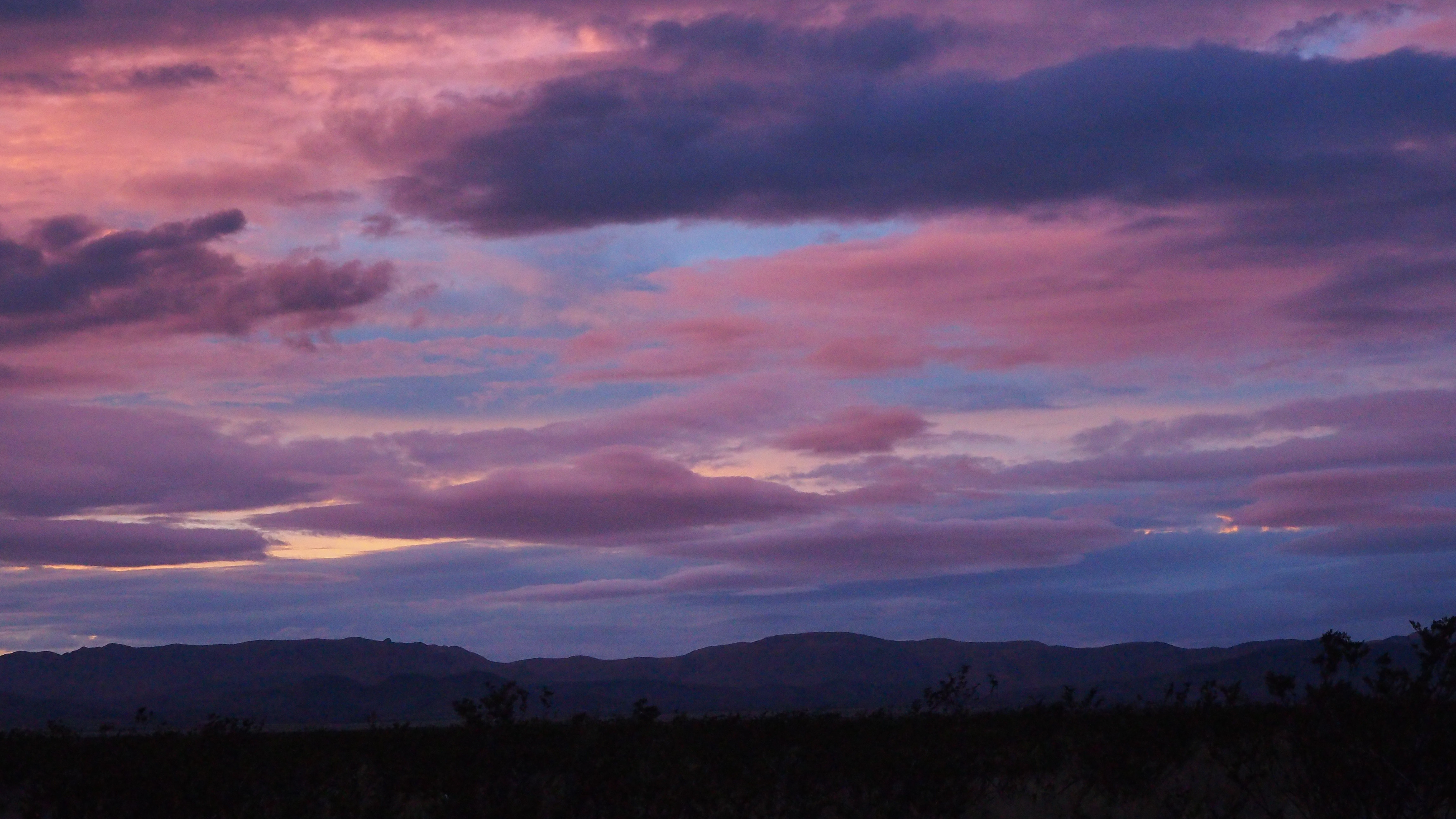 Come to me, said the world.