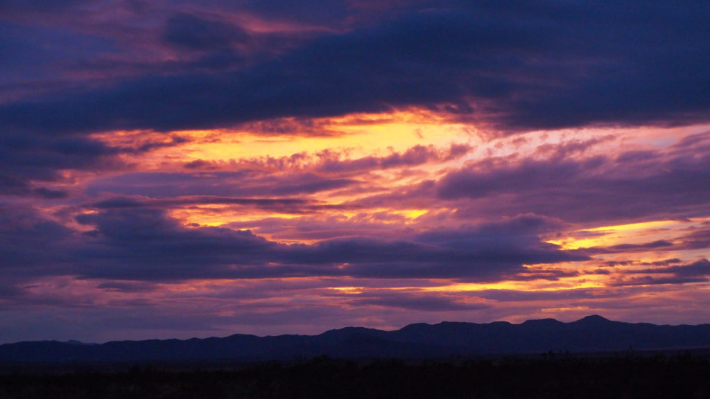 but that I perceived beauty in this manner. —Louise Glück