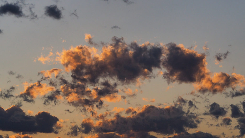 There runs, to keep our reason busy,