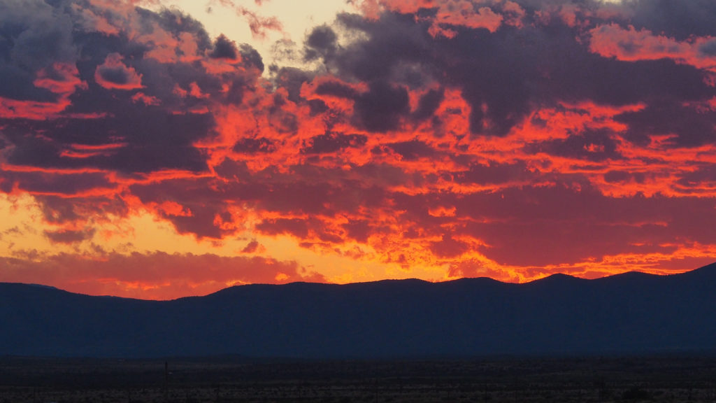 That men agree to call a heart. —Fernando Pessoa, translated by Edouard Roditi