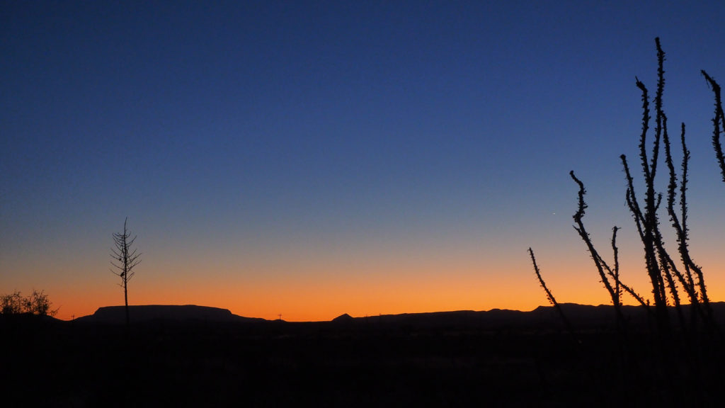 touching, transient form; —Zbigniew Herbert, translated by Alissa Valles