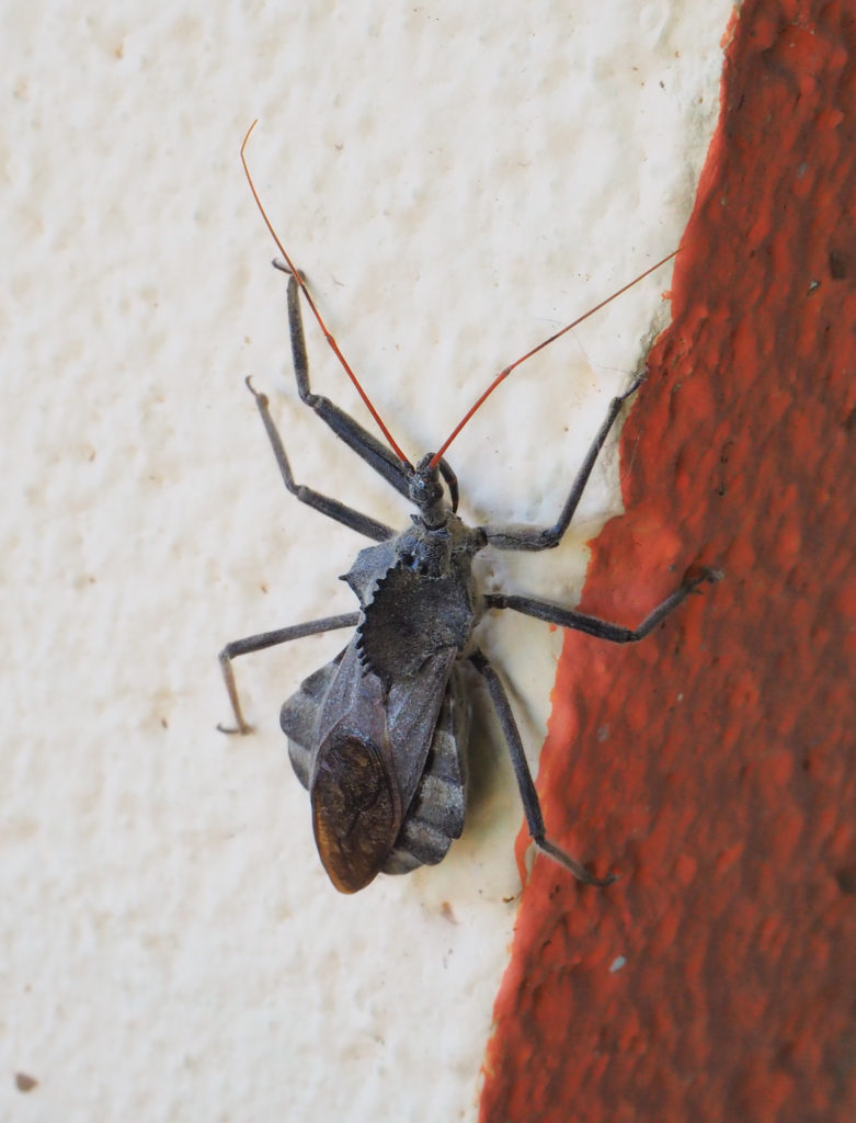 I sleep, silent as ink. —James Byrne