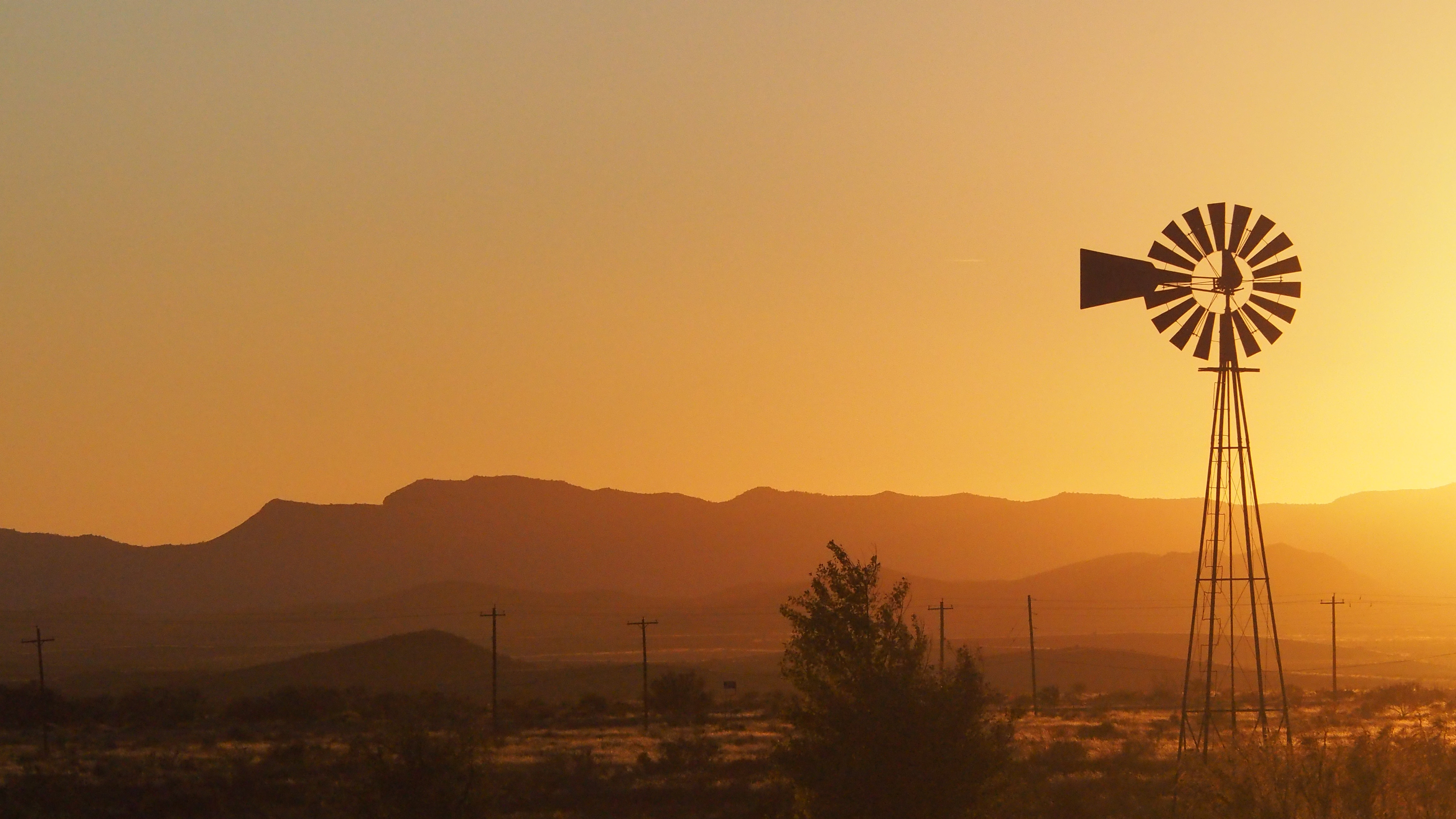 it seems you must let them come