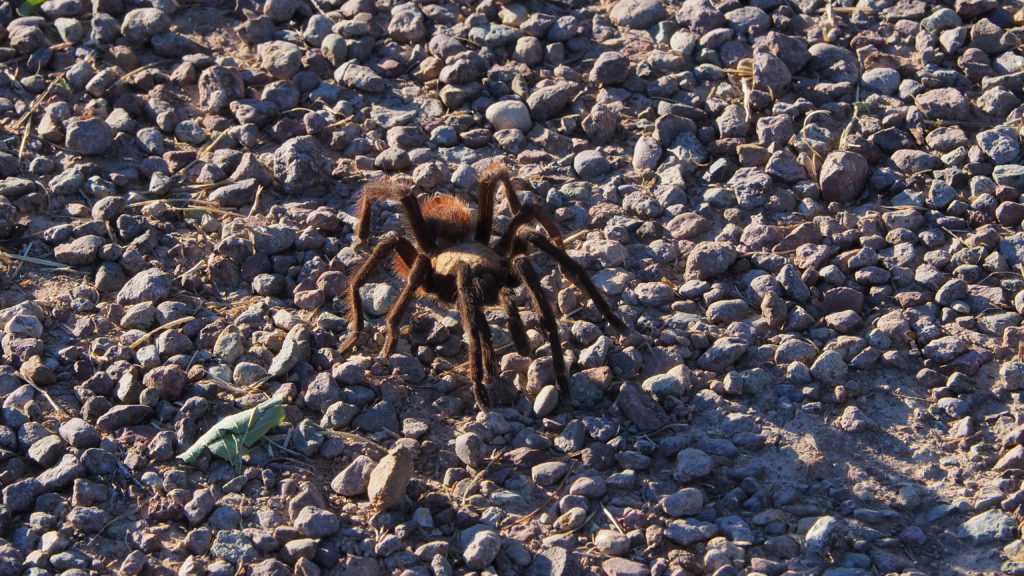 accidentally leaving a glove in a year that hasn’t