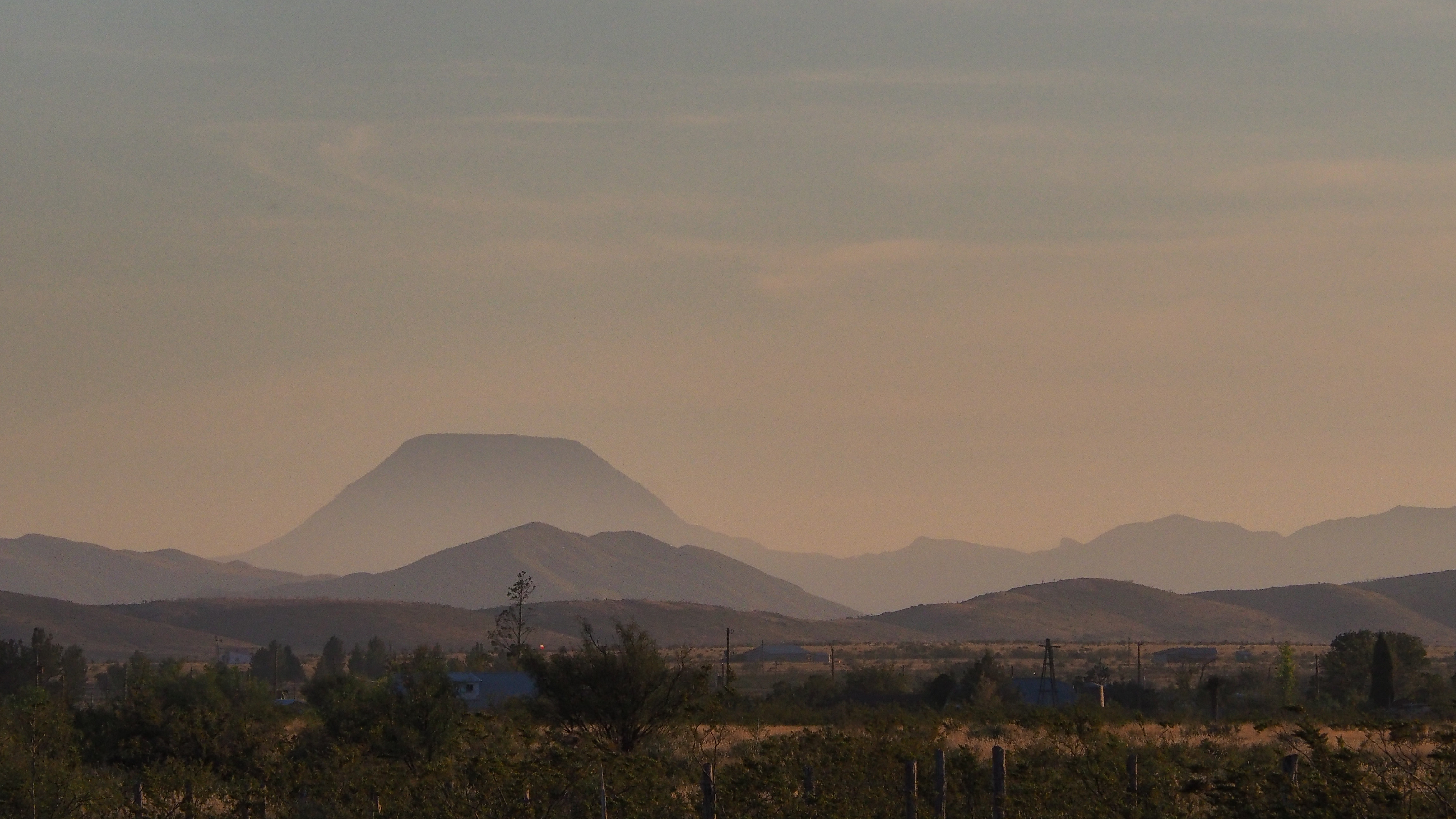 the bird forgets its tongue, like a time traveler