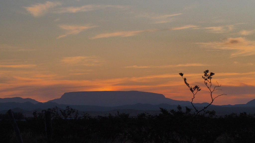 streets, its sour and sweet buds lit up with