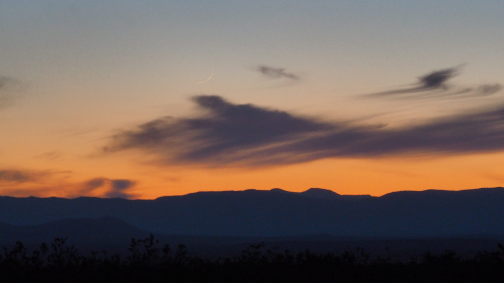 promise safety. Not the sheath of mouth. Not even