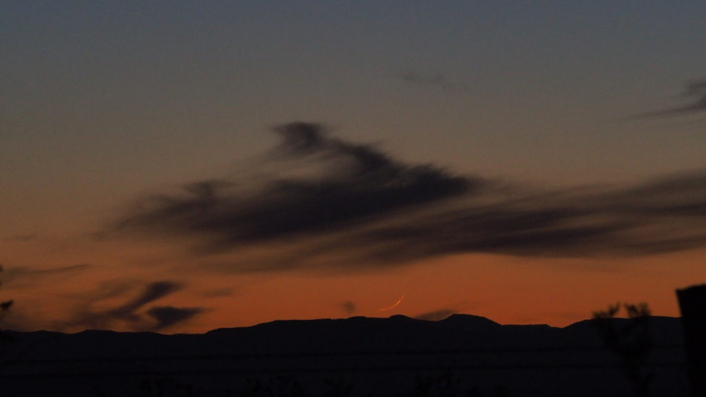 the body, which laughs at the body of time, stretched —Melissa Studdard