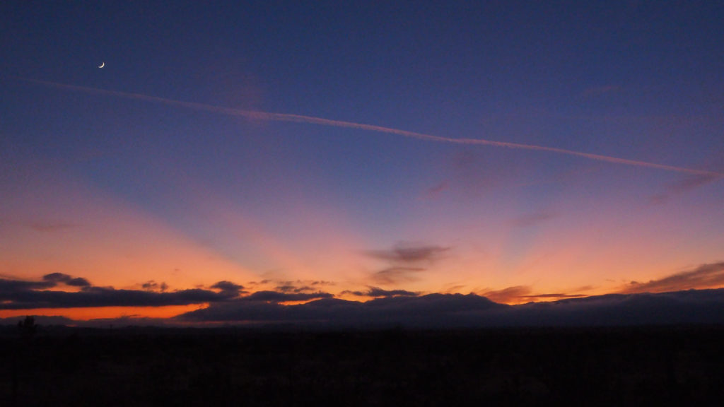 this for which nothing could have prepared us