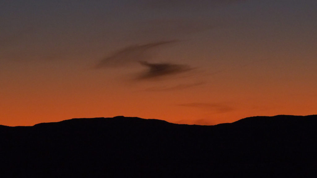 to other reckless hearts. —Edith Södergran, translated by Stina Katchadourian