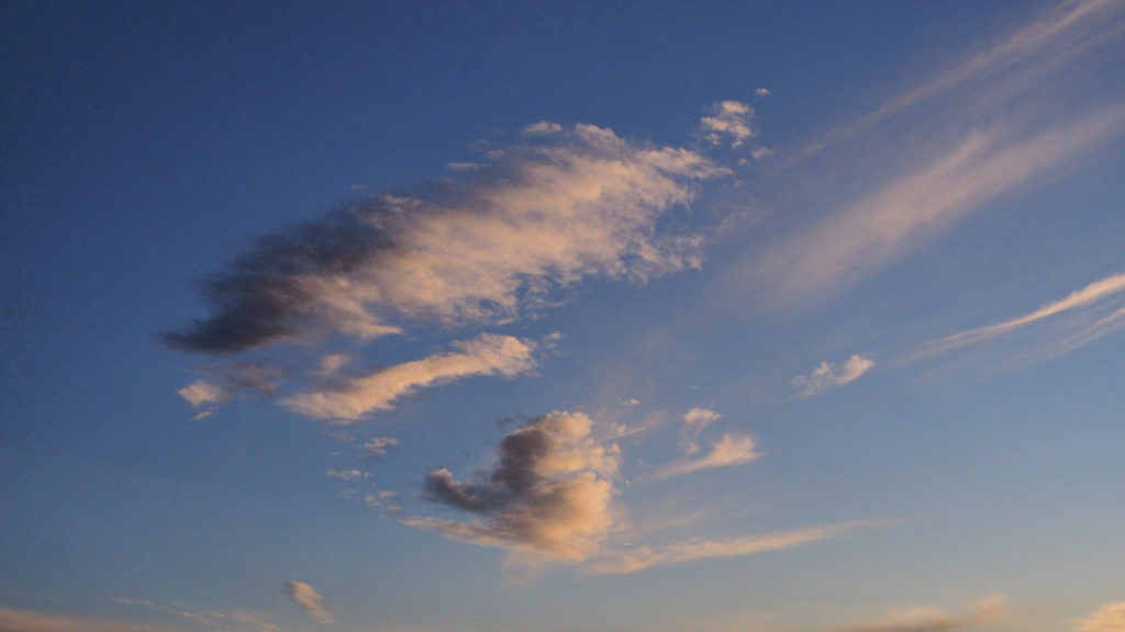 Were becoming mutually interested