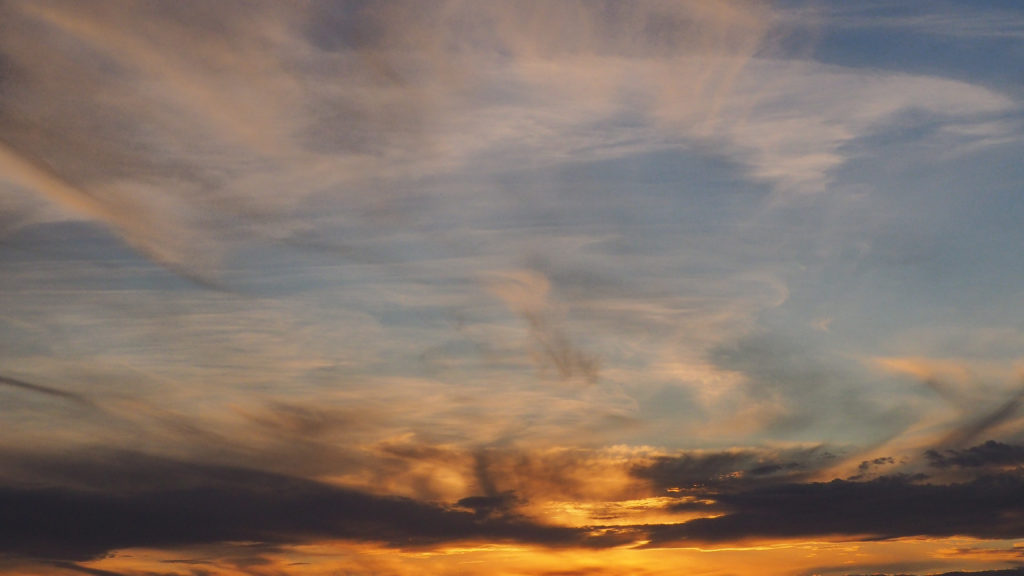 through the blue centuries until quite recently