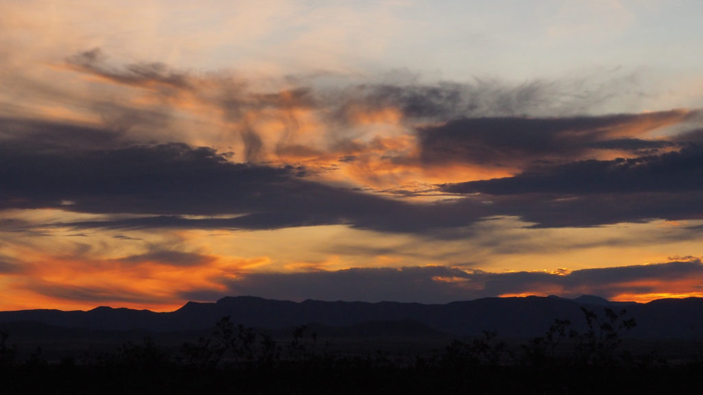 paused our bafflement but kept