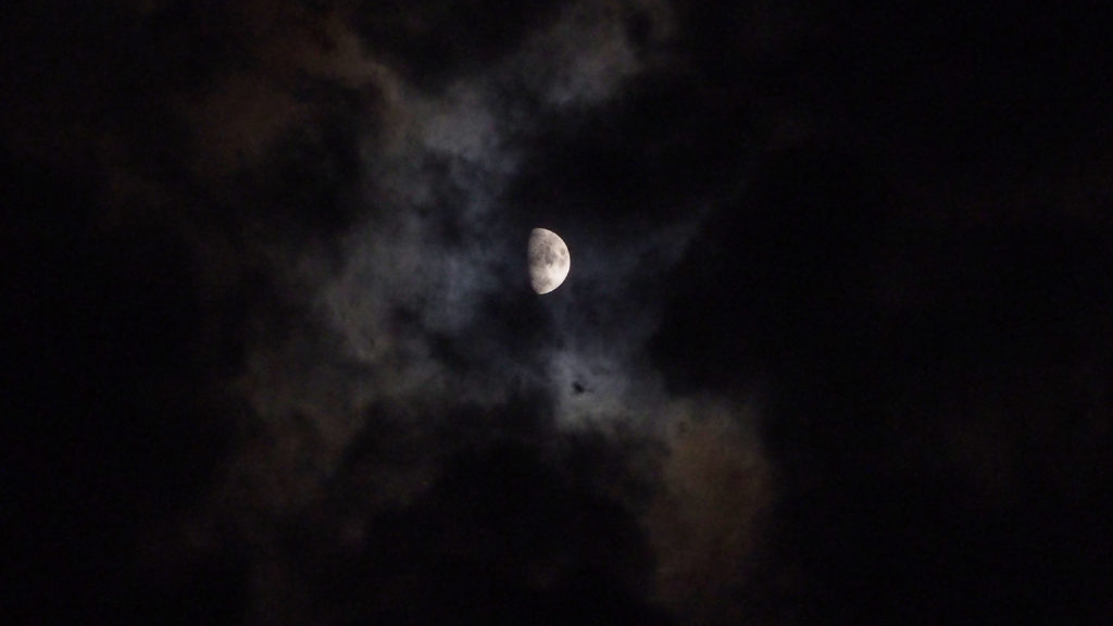 that existence has its own reason for being. —Wisława Szymborska, translated by Stanislaw Baranczak and Clare Cavanagh