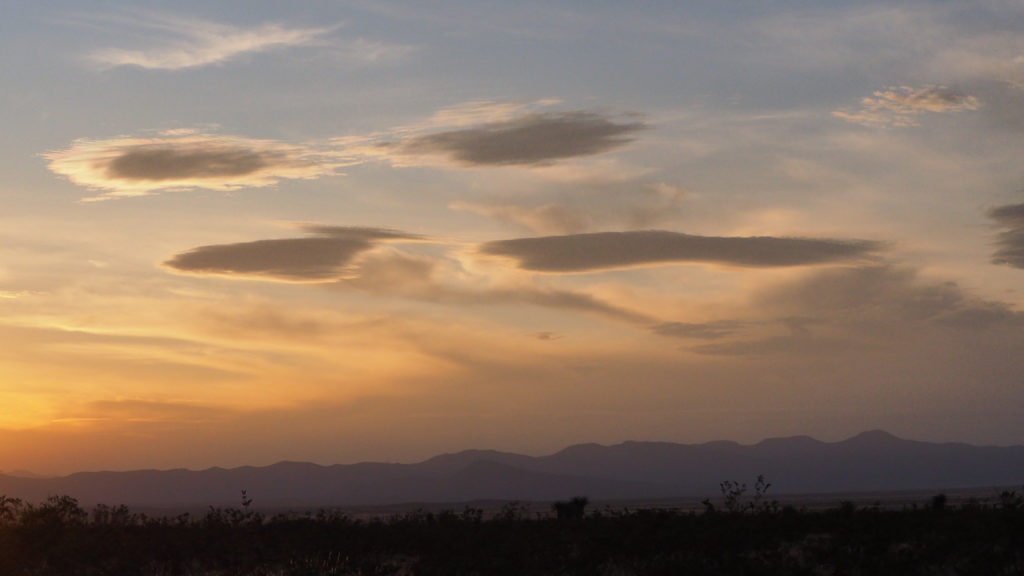 shining down upon the dark trees. —David Ignatow