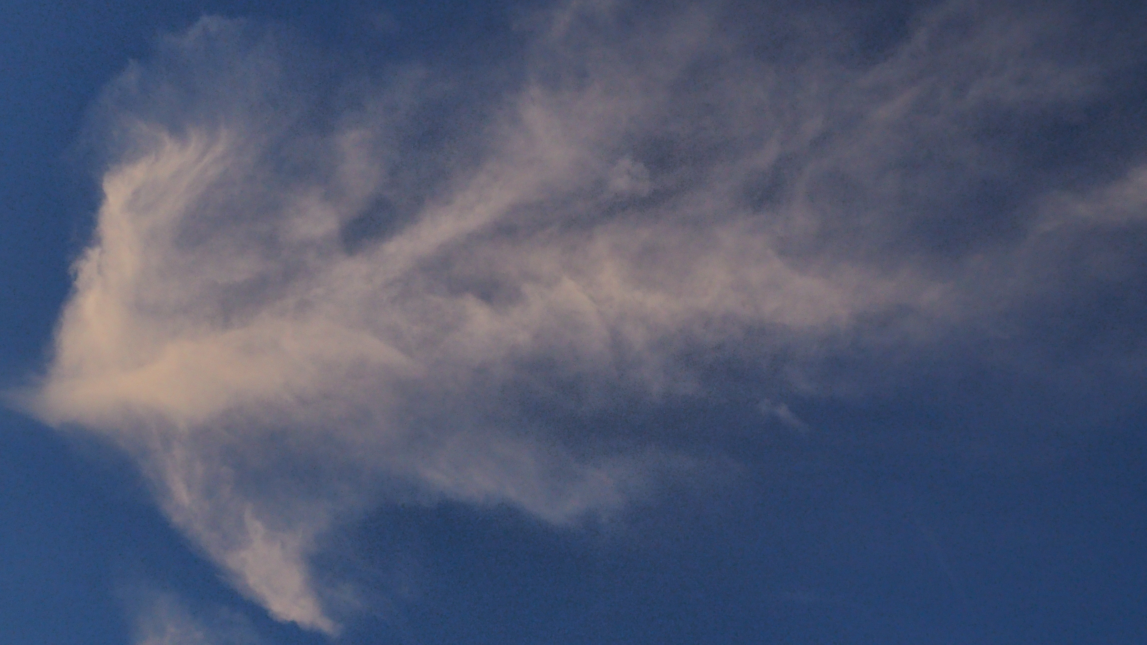 I am light now, or on the side of light—