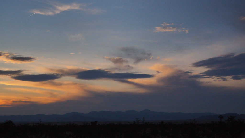 Light-wracked and light-gone. —Natalie Diaz