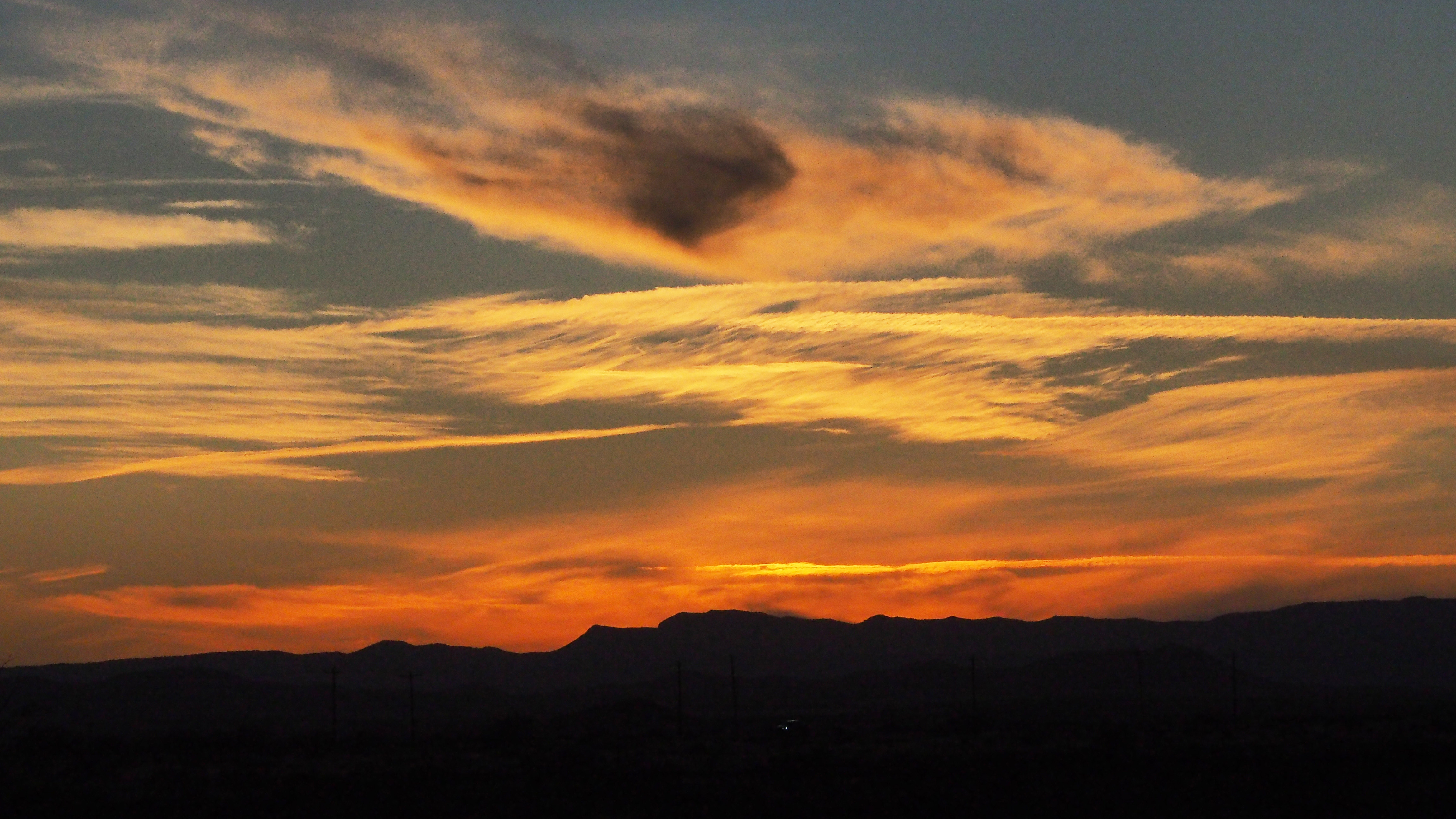 The sky was the color of a cut lime