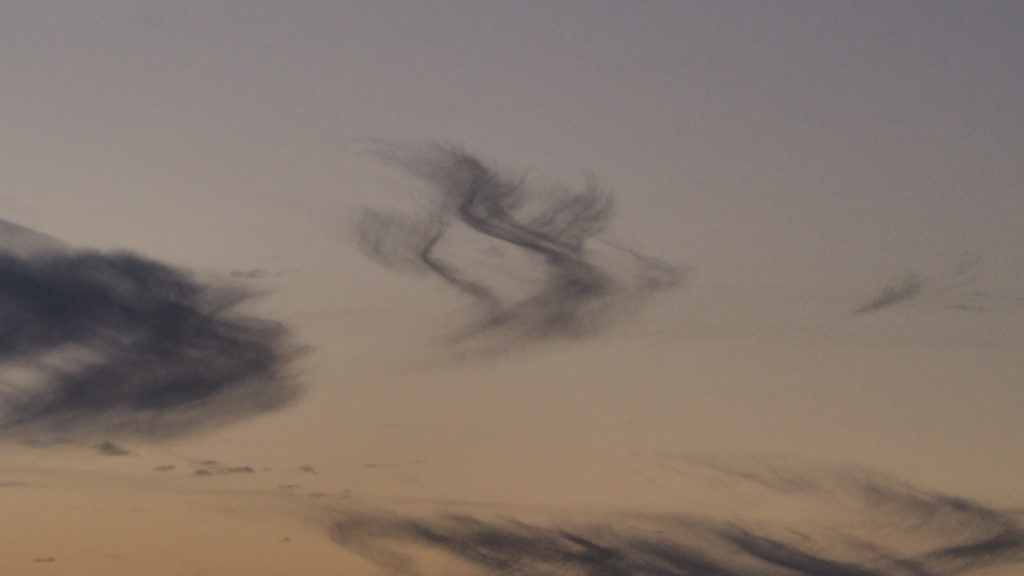 in a plastic container