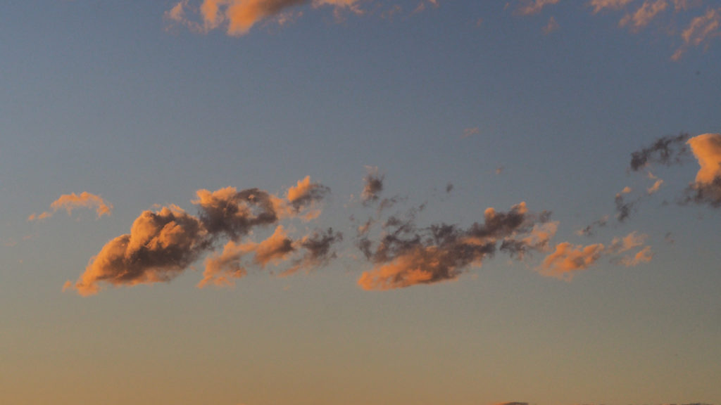 We feel around making sense of the terrain,