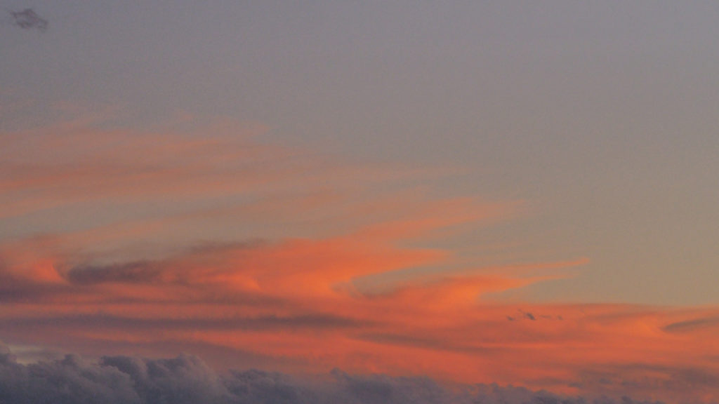 Bumping up against a herd of bodies