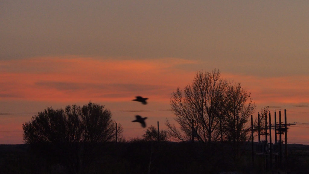 as this light, now, in the darkest time