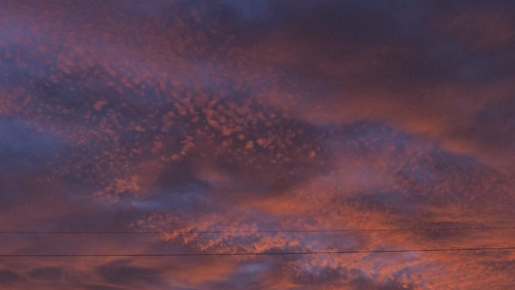 grim and otherwise Orion, who leans his face on the ox. —Christine Gosnay